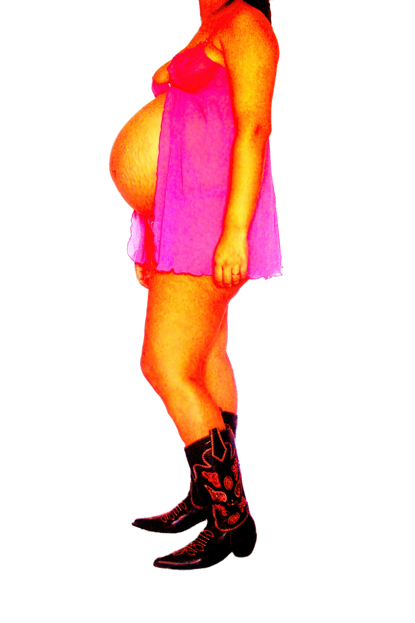 Le Corps Pansant - 2009